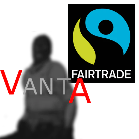 Vanta Logo